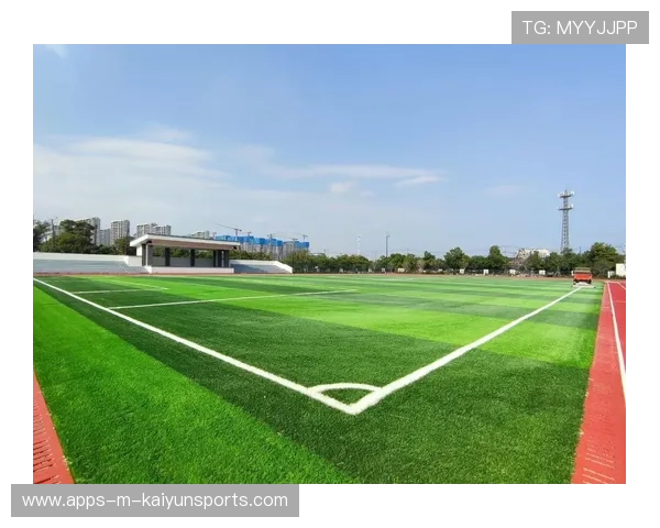 联盟与城市共同推动校园足球场地建设项目落地，校园足球场地建设标准